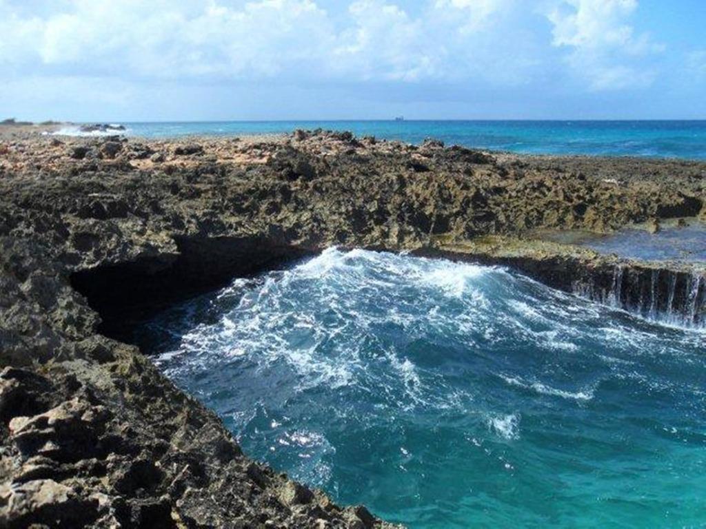 Aruba Cunucu Residence Палм Бич Экстерьер фото